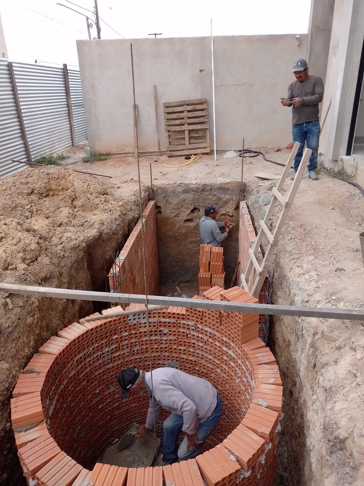 WhatsApp Image 2025-07-15 at 16.31.57